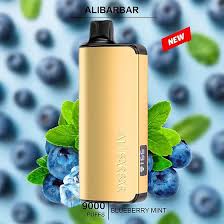 Alibarbar INGOT 9000 Puffs – Blueberry Mint