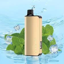 Alibarbar INGOT 9000 Puffs – Cool Mint