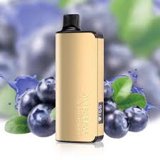 Alibarbar INGOT 9000 Puffs – Quadruple Berry